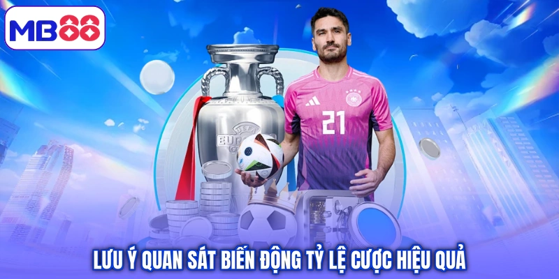Lưu ý quan sát biến động tỷ lệ cược hiệu quả