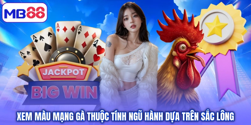 Xem màu mạng gà thuộc tính ngũ hành dựa trên sắc lông